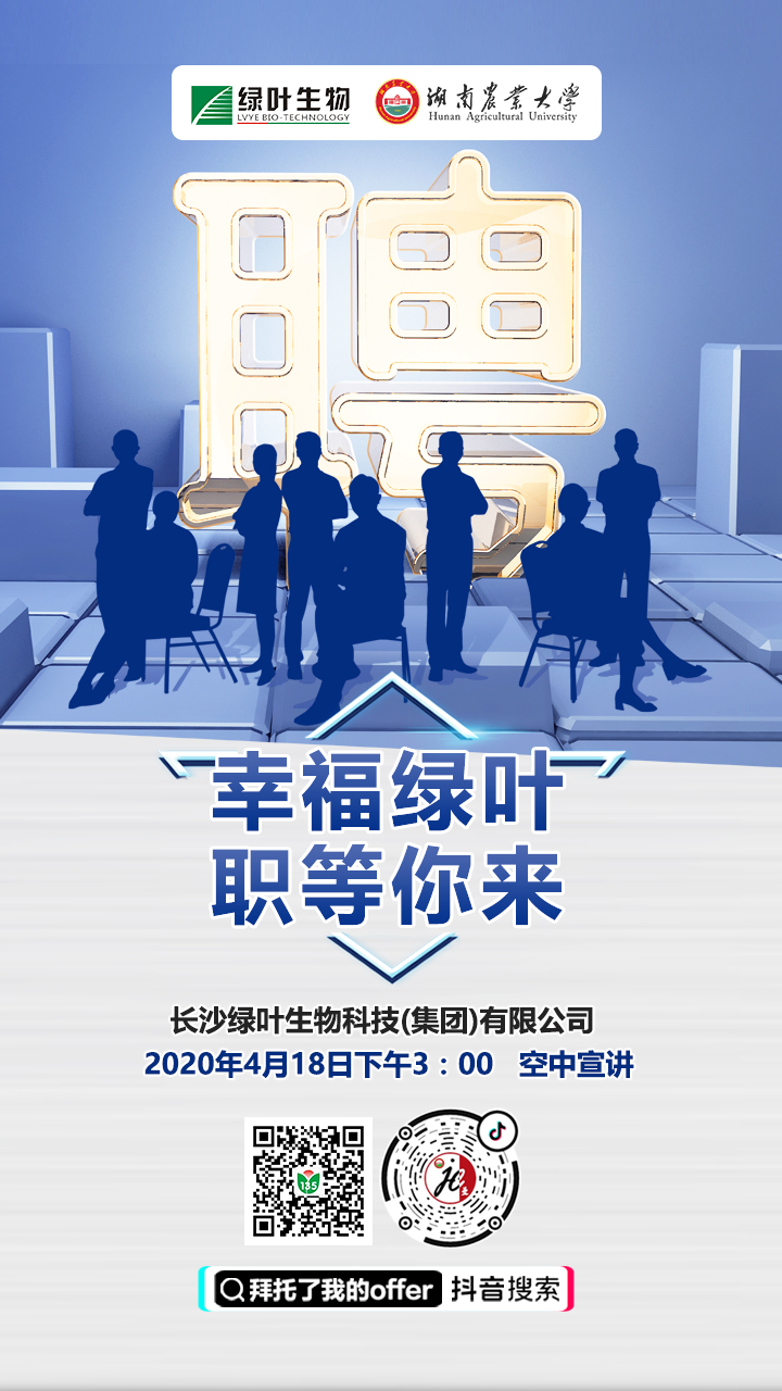 长沙绿叶人才招聘视频