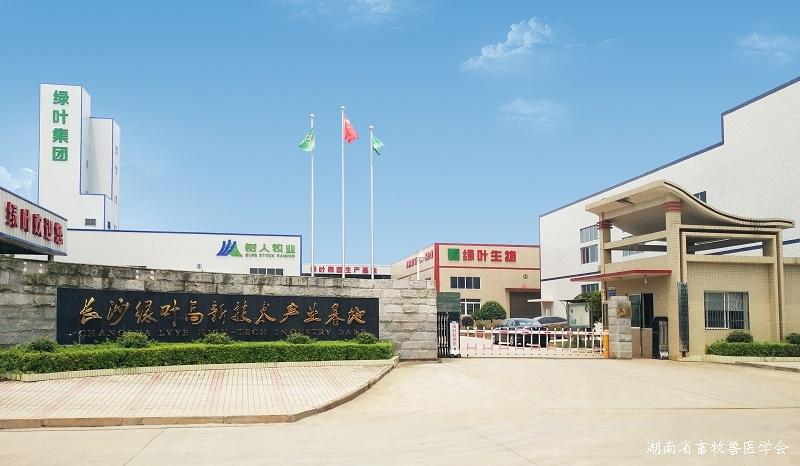 绿叶公榔梨工业园大门