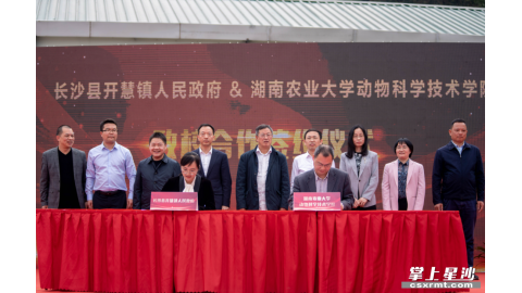 印遇龙院士劳模创新工作室“深植”开慧镇！政校合作谱写乡村振兴新篇章