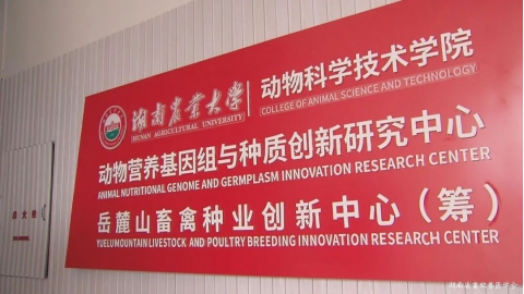 （惟楚有材）张海涵：助力湖南打造“种业硅谷”